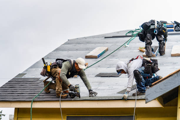 Professional Roofing technician working in Northampton, MA